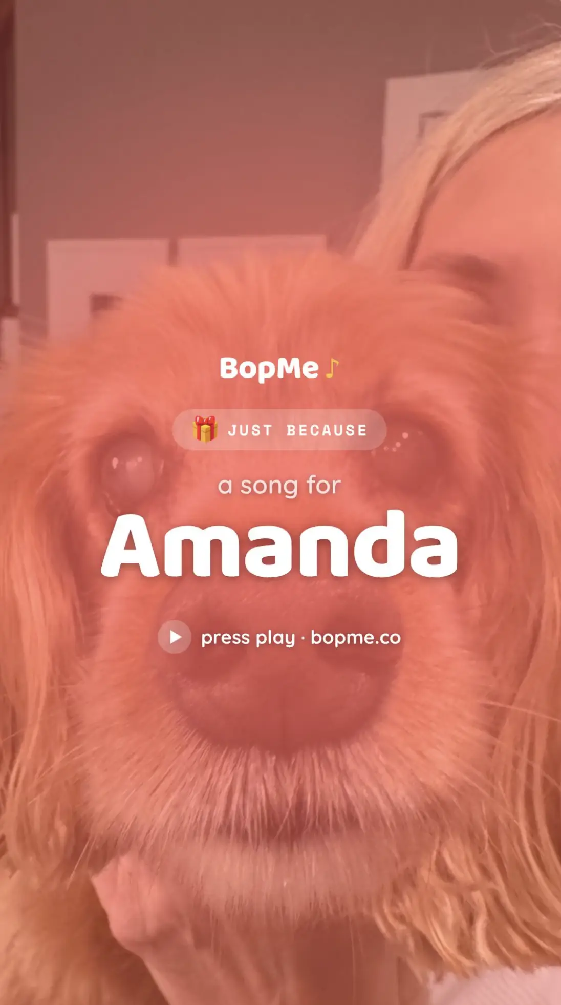 BopMe photo and lyric video preview on iPhone